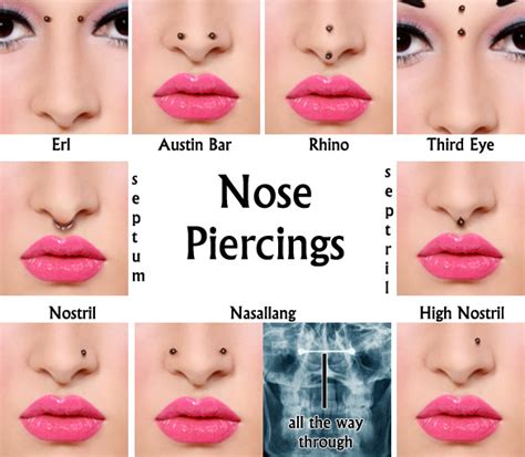 nose piercing type